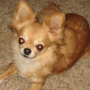 Meet your Posher, Melanie